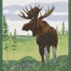 Ekelund Kökshandduk|Moose kökshandduk 35X50 - s Linneväveri