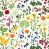 Arvidssons textil Textilvaxduk|Textilvaxduk Hedemora vit